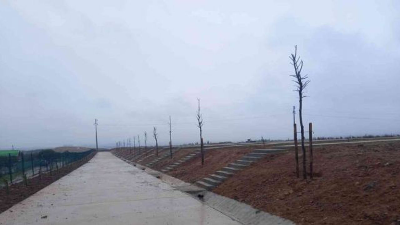 Demirciler Köyü Mezarlığı ağaçlandırıldı
