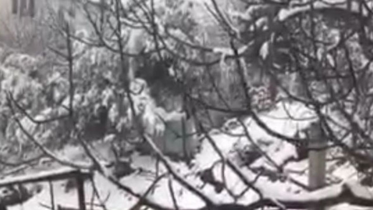 Kahramanmaraş’ta kardan gelin yaptılar
