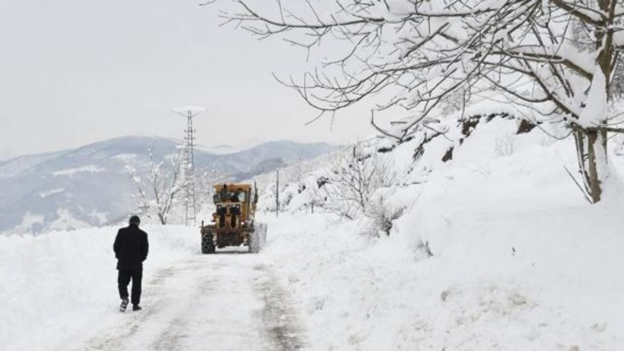 Karla büyük mücadele: 435 mahalle yolundan 427’si açıldı