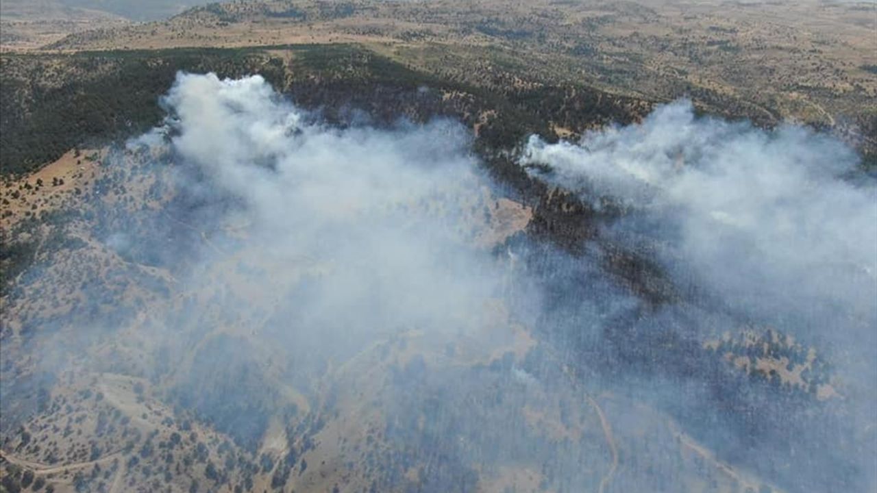 Erzincan'da ormanlık alanda çıkan yangın söndürüldü