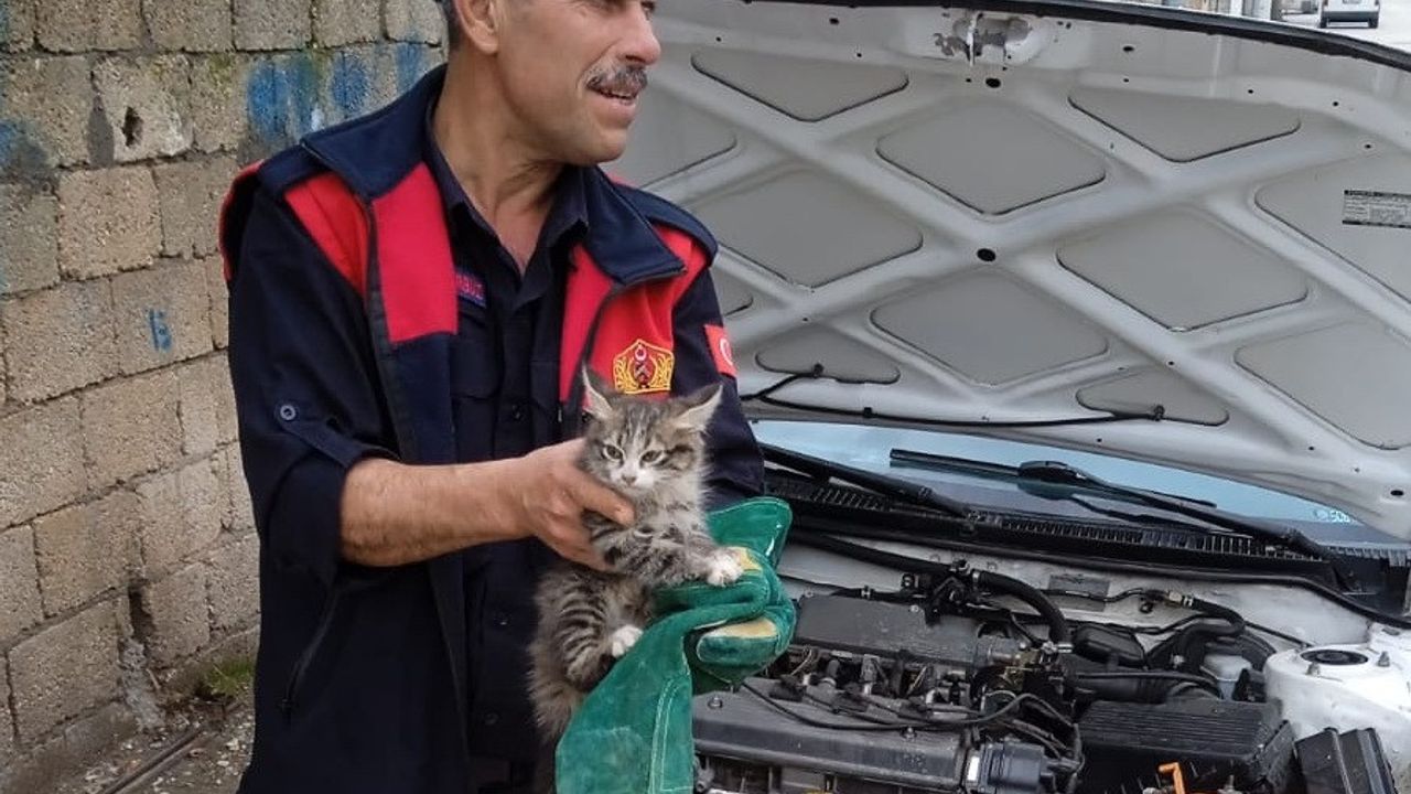 Aracın motor kısmına sıkışan kedi kurtarıldı