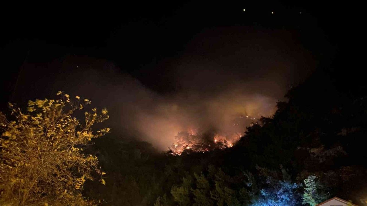 Bartın’daki orman yangını yerleşim bölgesine ulaşmadan kontrol altına alındı