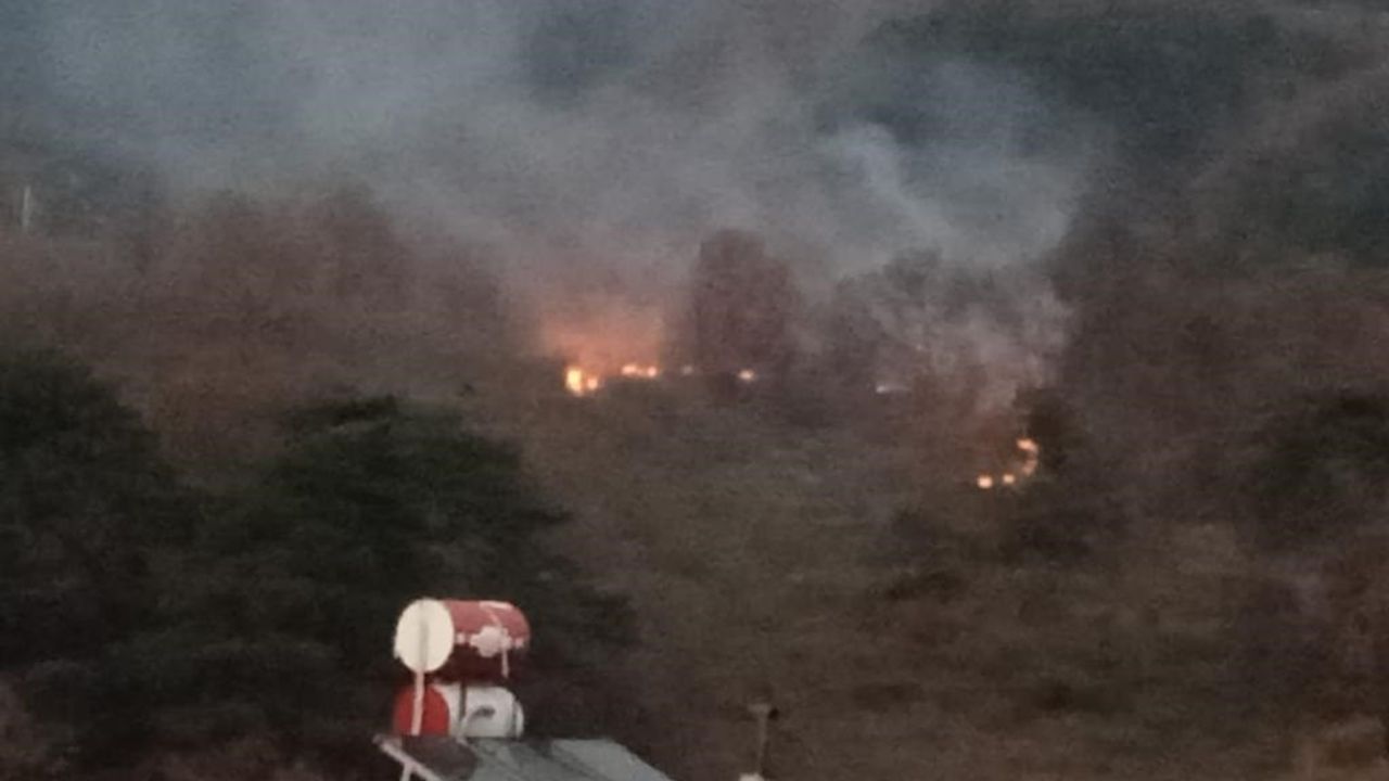 Bolu’da ormanlık alanda çıkan yangın korkuttu