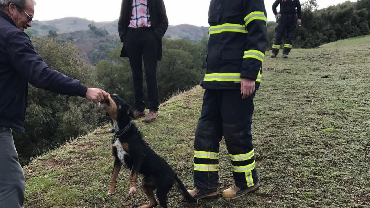Uçuruma düşen köpeği itfaiye kurtardı