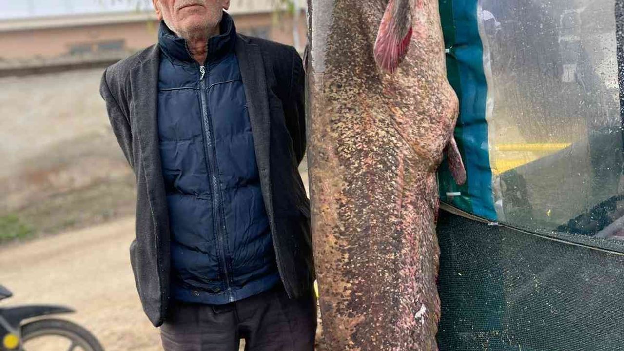 2 metrelik balık oltaya takıldı: Yoldan geçen telefona sarıldı
