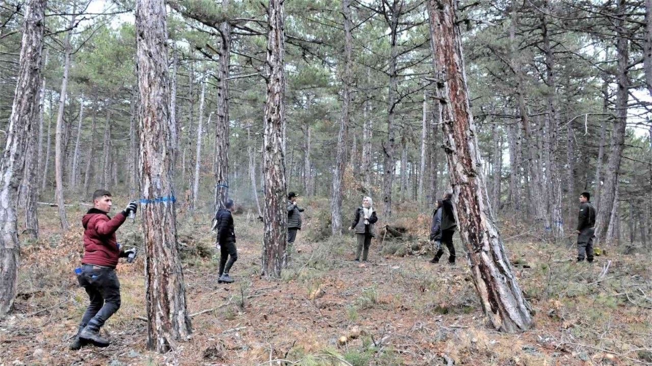 Altıntaş Akbayır Orman İşletme Şefliği’nde uygulamalı tatbikat