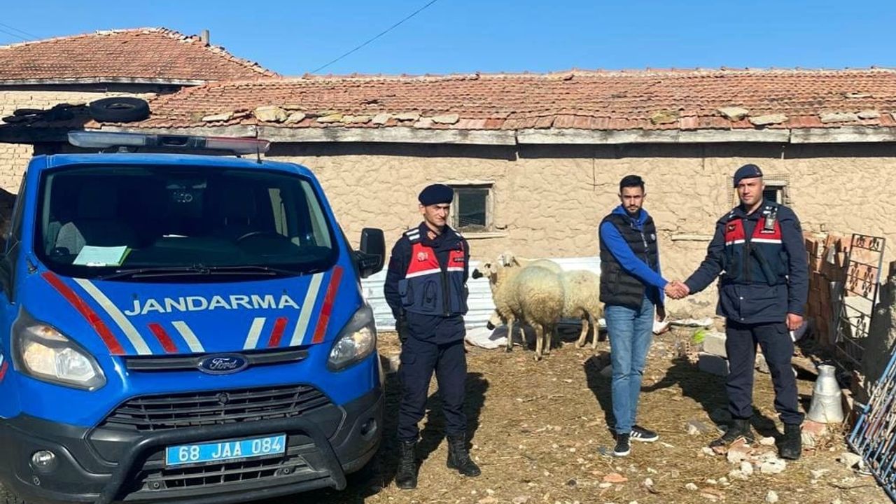 Jandarma kaybolan koyunları dron ile buldu