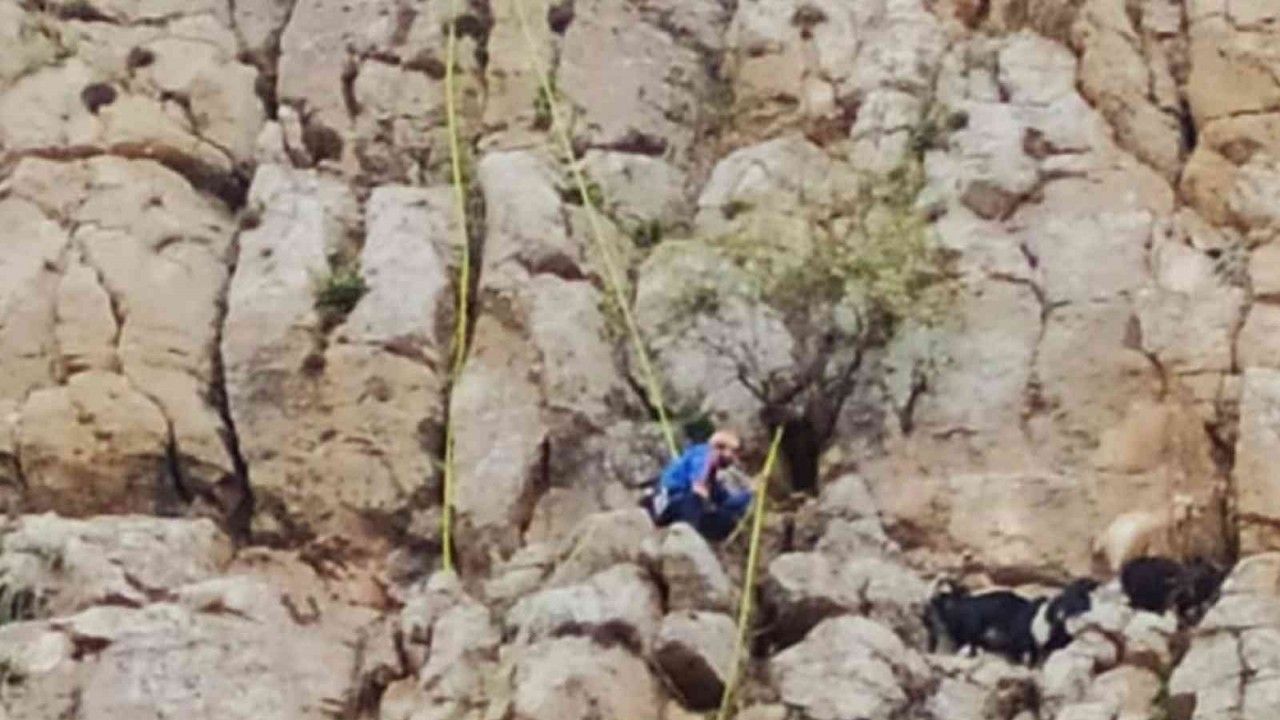 Siirt’te kayalıklarda mahsur kalan keçiler 5 gün sonra kurtarıldı