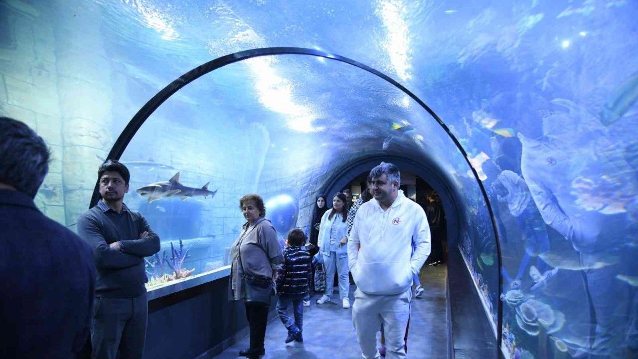 Tünel Akvaryum’un ziyaretçi sayısı 200 bini geçti
