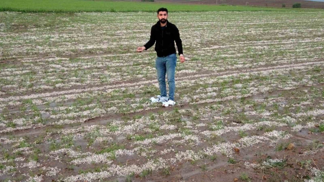 Yozgat’ta dolu tarım arazilerine zarar verdi