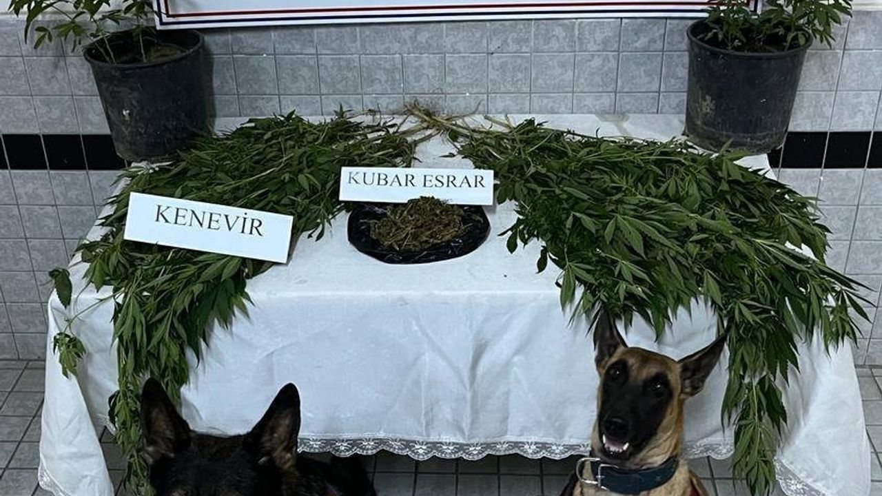 Buharkent’te uyuşturucu operasyonu: 1 gözaltı