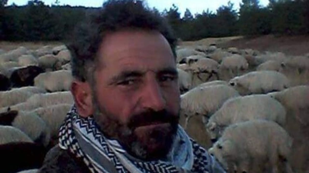 Diyarbakır’da yıldırımın çarptığı çoban hayatını kaybetti