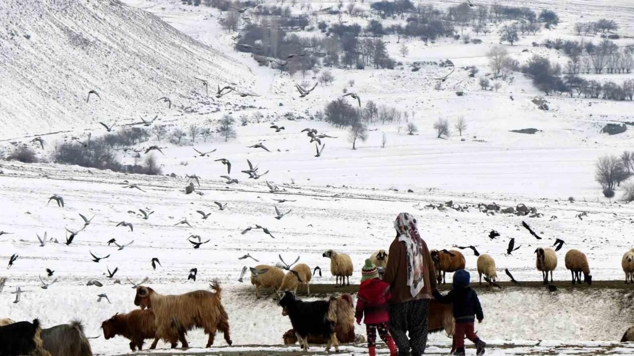 Erzincan’da 179 üretici hayvan varlığını artırdı