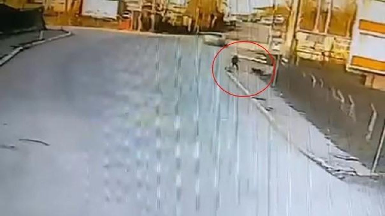 Kandıra’da okula giden çocuğa 2 köpek saldırdı