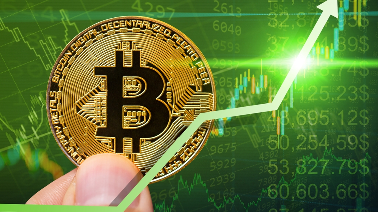Yatırım Portföyünün Bir Parçası Olarak Bitcoin: Riskler Ve Fırsatlar