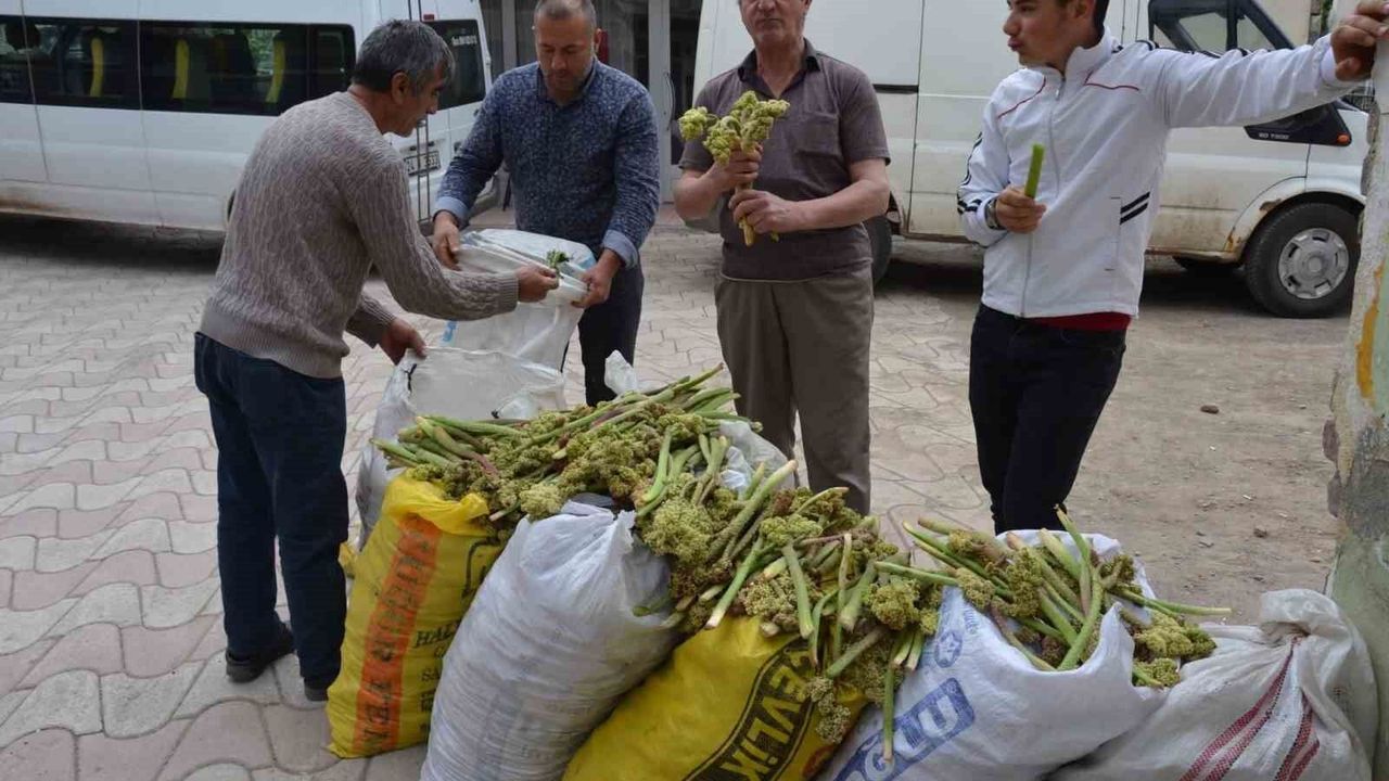Erzincan’da Yayla Muzu Tezgahlara İndi: Kilosu 100 İla 200 Liradan Satılıyor