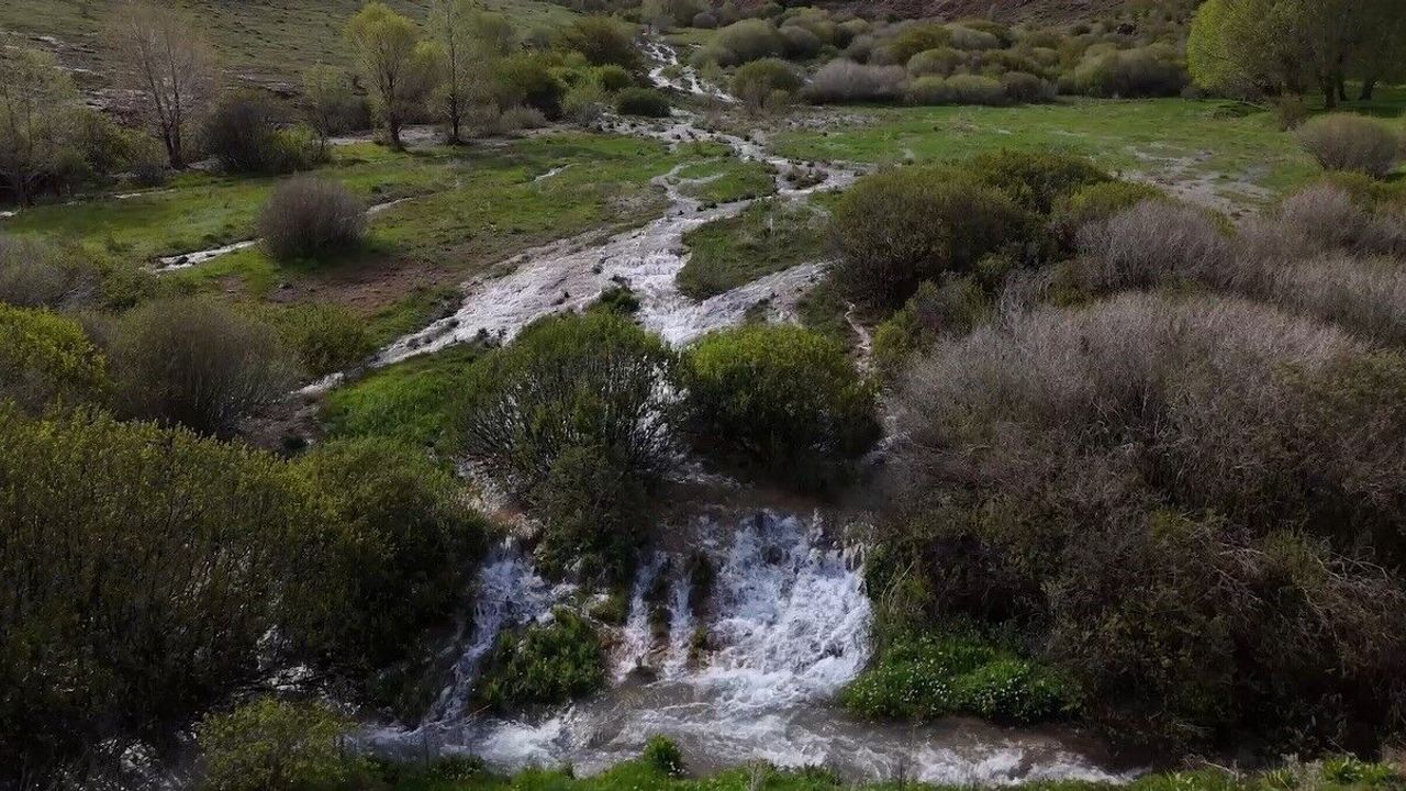 Ağ Nene'nin gizemli suyu yeniden uyandı