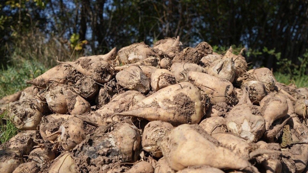 Erzincan'da şeker pancarı fiyatına itiraz