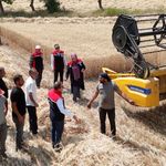 Erzincan'da buğday hasadı sürüyor, biçerdöverler denetlendi
