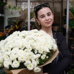 Sonbaharın Gözdesi Kasımpatı ve Sıklamen Oldu