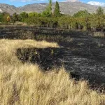 Erzincan'da anız yangını büyümeden söndürüldü