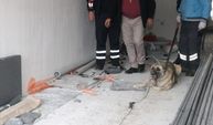 Erzincan'da asansör boşluğuna düşen köpeği itfaiye kurtardı
