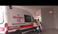 Yaz mevsimiyle birlikte Erzincan’da 7 kişi kene ısırması sonucu hastanelik oldu