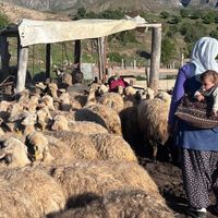 Erzincan