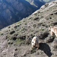 Erzincan