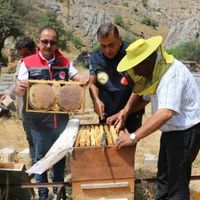 Erzincan