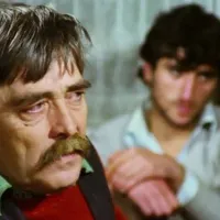 Kültür-Sanat