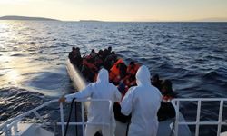 Ayvalık’ta 41 kaçak göçmen yakalandı