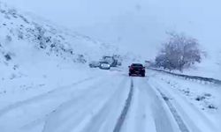 Bitlis’te kar yağdı, çok sayıda araç yolda kaldı