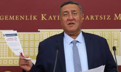 CHP'li Gürer: Fidan dikimleri Mart ayına çekilmeli