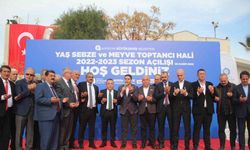 Örtü altı üretim üssü Antalya’da, 2022-2023 hal sezonu açıldı