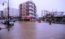 Sağanak yağış Cizre’de hayatı olumsuz etkiledi