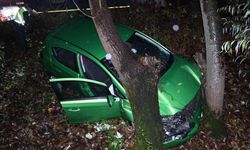 Şarampole yuvarlanan otomobil ağaca çarparak durabildi: 2 yaralı