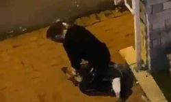 Sarıyer’de köpeği boğmaya çalışan şüpheli tutuklandı