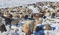 Türkiye’nin en yüksek rakımlı köyüne mevsimin ilk karı yağdı
