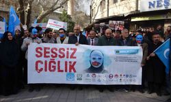 "Doğu Türkistan’daki hak ihlalleri adım adım soykırımdır"