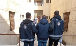 Edirne'de 351 göçmen yakalandı