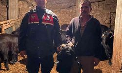 Jandarma kayıp keçileri dron ile buldu
