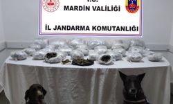 Mardin’de ele geçirilen 22 kilo uyuşturucuya 3 tutuklama