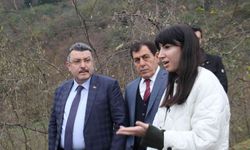 Trabzon’a Fındık Adası kurulacak