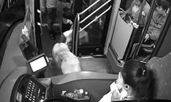 Yağmurdan kaçarak halk otobüsüne sığınan köpek yolcularla seyahat etti