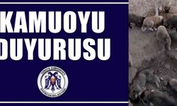 Erzincan Belediyesinden hayvan bakımeviyle ilgili iddialara yönelik 2 gün sonra açıklama yapıldı