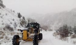 Kar yağışı nedeniyle 2 yerleşim yeri ulaşıma kapandı