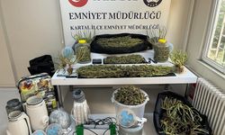 Kartal’da uyuşturucu serasına çevrilen evde 10 kilo marihuana ele geçirildi