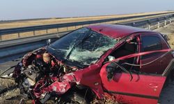 Nusaybin’de kontrolden çıkan otomobil kaza yaptı: 2 yaralı