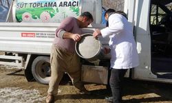 ’Soğuk Süt Zinciri’ Projesiyle besiciler emeklerinin karşılığını almaya başladı